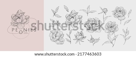 Set of luxury peonies flowers and logo. Trendy botanical elements. Hand drawn line leaves branches and blooming. Wedding elegant wildflowers for invitation save the date card. Vector trendy greenery Royalty-Free Stock Photo #2177463603