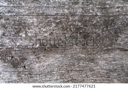 Full frame image of old gray wooden background. Copy Space area for text.