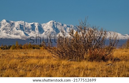 Russia. The South of Western Siberia. Sunny autumn day in the Altai mountains. Late autumn at the North-Chuya mountain range in the heart of the Kurai steppe. Royalty-Free Stock Photo #2177512699