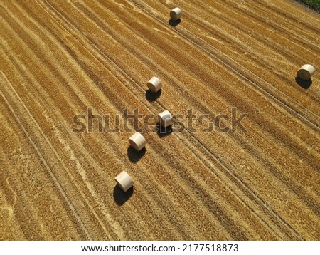 Top view of hay bales in the field on a sunny day in summer