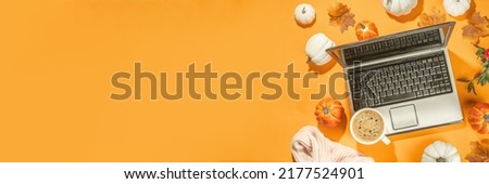 Autumn office work, education flatlay top view copy space. Cozy fall background with laptop, white and orange pumpkins, autumn leaves decor. Woman person hands using a laptop computer from above 
