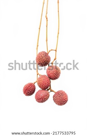 Fresh ripe lychee bunch, cultivar, planted at Amphawa District, Samut Songkhram, isolated on a white background.