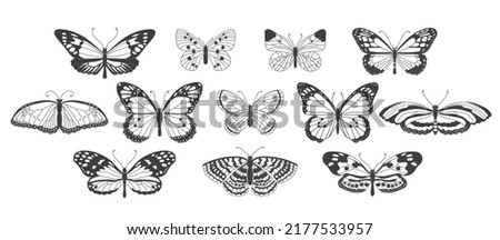 A collection of butterflies. Set of silhouettes of butterflies isolated on white background. Vector illustration.