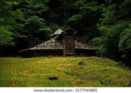 A house in a dense forest. Forester's house Royalty-Free Stock Photo #2177545885