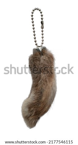 Good Lucky rabbit foot charms keychain rabbit's foot a good luck symbol, amulet, happiness and monetary prosperity isolated on white background. This has clipping path.                             