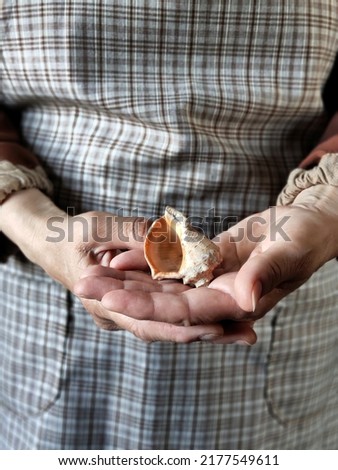 Woman in rustic apron holds a sea shell in the hand with copy space. Person with clam on her palm. Summer vacation concept. 