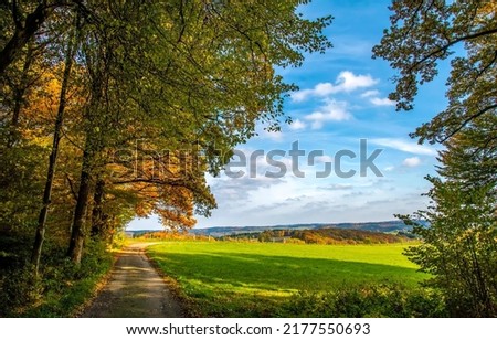 Autumn country road landscape. Countryside in autumn. Autumn countryside road. Autumn countryside landscape Royalty-Free Stock Photo #2177550693