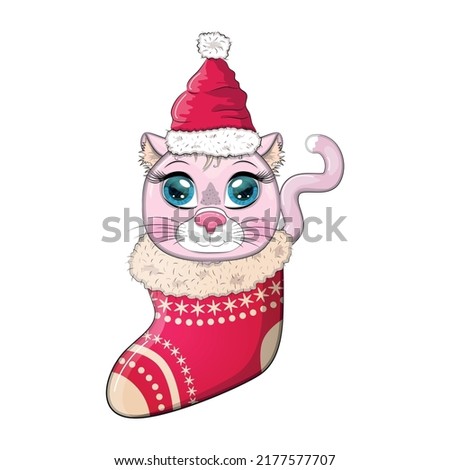 Cute cartoon cat in a Santa hat in a Christmas stocking. Winter 2023, Christmas and Chinese New Year