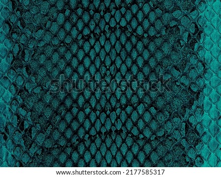 Dark snake skin texture, as background. Natural reptile leather.