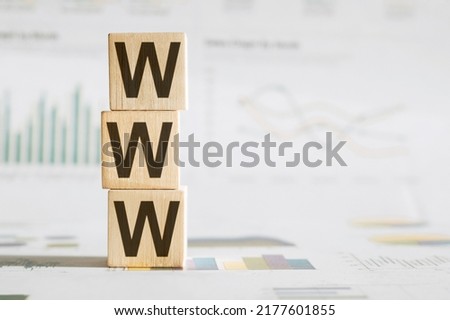 WWW inscription on wooden blocks against white financial background.