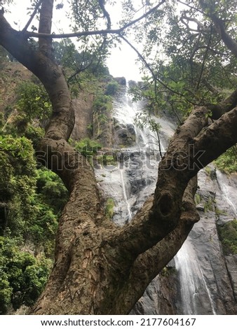 Amazing Asia travel destination.beautiful Babarakanda waterfall in sri lanka.