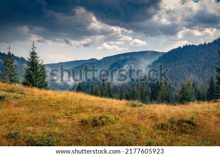 Dramatic morning view of Apuseni Natural Park, Cluj County. Foggy summer scene of Romania, Europe. Beauty of nature concept background. Royalty-Free Stock Photo #2177605923