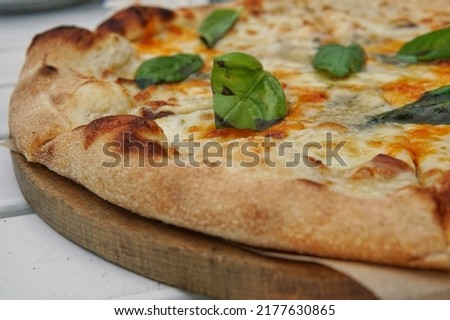 Classic four cheese pizza with green basil
