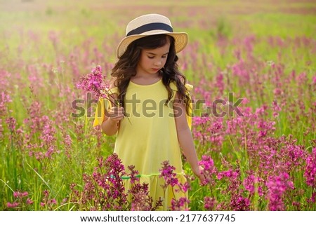 Romantic beautiful little girl walks in a flowering field, holds a bouquet of burgundy viscaria flowers