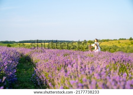 woman model in white dress outfit with hat is standing dancing in lavender field, photo session, portrait
