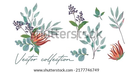 Set of handpainted watercolor vector plants and leaves.Design element for wedding,  congratulation card. Perfect floral elements for save the date card. Unique artwork for your design. Royalty-Free Stock Photo #2177746749