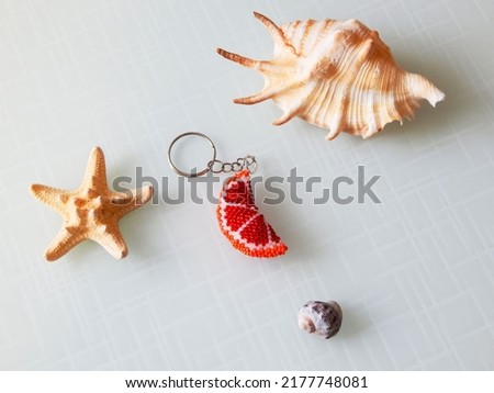 Fruit key chain and sea mollusks