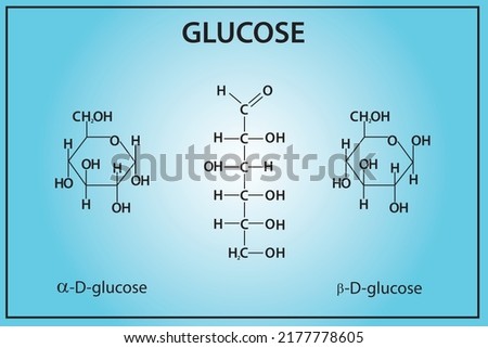 Glucose structure with elements. Glucose is a simple sugar with the molecular formula C₆H₁₂O₆. Glucose is the most abundant monosaccharide, a subcategory of carbohydrates Royalty-Free Stock Photo #2177778605