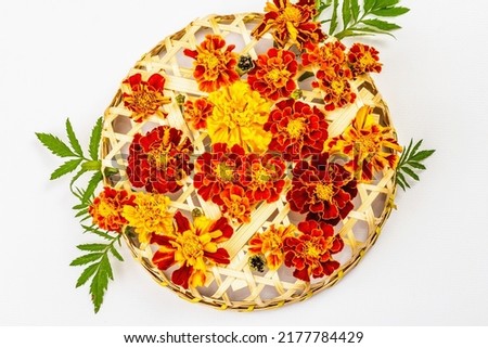 Autumn composition from assorted marigold flowers, isolated on a white background. Floral multicolored assortment, fresh leaves on wicker basket