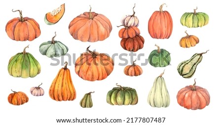watercolor set of isolated colorful pumpkins on the white background