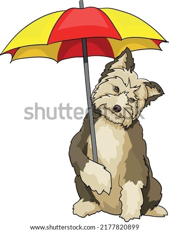 Maltese Yorkshire Terrier on the beach with umbrella on the beach summer holiday, drawing vector illustration dog