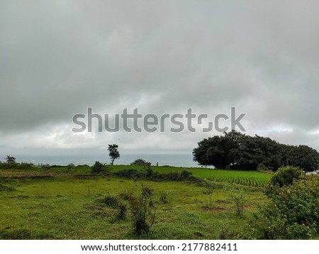 Stock photo of scenic landscape on top of the hill, land cover with green grass, plants with big banyan tree. Dark clouds on background .Picture captured during monsoon season at Kolhapur, Maharashtra