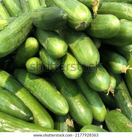 Macro photo green fresh cucumbers. Stock photo green cucumber vegetable background Royalty-Free Stock Photo #2177928363