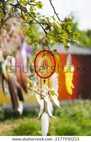 Dreamcatcher hanging on a tree. Boho chic, ethnic amulet, symbol