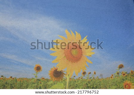 sun paper paper picture