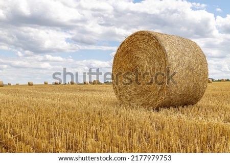 Closeup of a Yellow Round Straw Bale background. Copy space for your text.