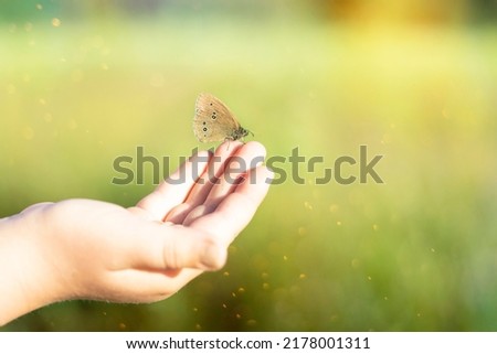 Banner with beautiful butterfly sitting on human fingers isolated on the soft green background. Nature landscape with butterfly on the child’s hand. Insect on the palm. Copy space for text