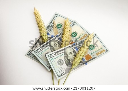 What will be the future price of grain and bread. Royalty-Free Stock Photo #2178011207