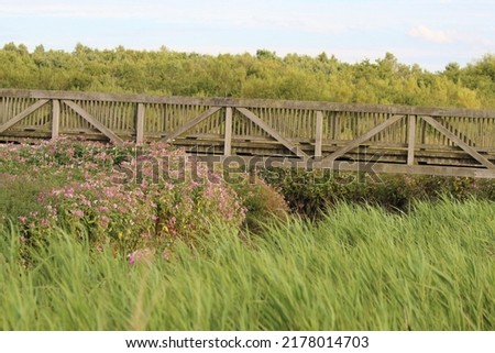 A beautiful landscape shot across a nature reserve. This photo was taken on a warm summer evening.