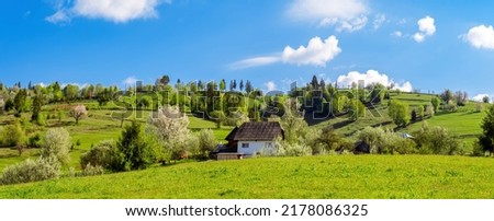 view of Apuseni mountains, Arieseni area, Alba County, Romania Royalty-Free Stock Photo #2178086325