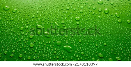 Panoramic view of wet abstract green background covered with small round drops of water with different shapes in light room Royalty-Free Stock Photo #2178118397