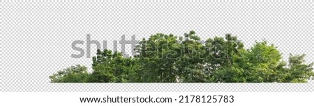 Green Trees on transparent background. are Forest and foliage in summer for both printing and web pages with cut path and alpha channel Royalty-Free Stock Photo #2178125783