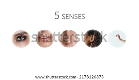 5 senses - hearing, smell, taste, touch, sight. Set of human sense organs in circles isolated on white background. collage in modern line art style Royalty-Free Stock Photo #2178126873