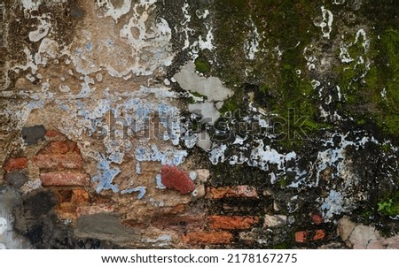 A landscape photo of an old brick and concrete wall, with green moss area covered on right side of the wall. A selective focus photo of the brick. A background or texture concept photo.