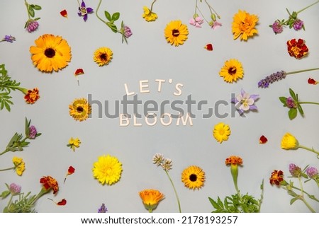 Let's bloom motivation poster, background with words out of wooden letters with flowers around, gift card with pretty background