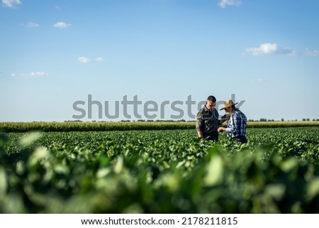 Two farmers in a field examining soy crop. Royalty-Free Stock Photo #2178211815
