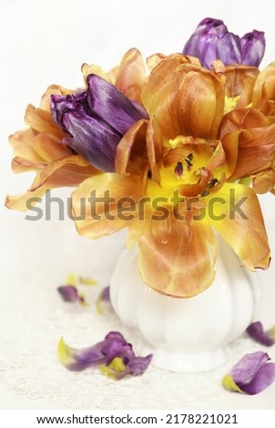 Autumn bouquet of withering orange and purple tulips in a small vase on white tablecloth. 