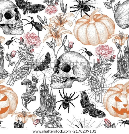 Seamless vector Halloween pattern in engraving style. Graphic skull, carved pumpkin, flowers, skeletal hand, moth, tarantula spider, cobweb, candles