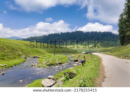 A road leading to Himalayan Mountains through Gulmarg, Jammu and Kashmir, India.