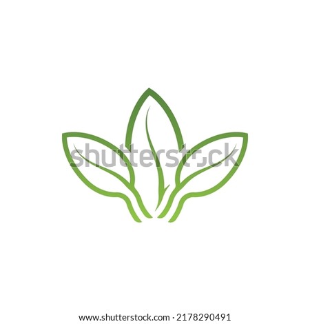 Logos of green tree leaf ecology nature element vector
