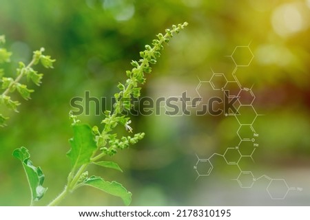 Plants background with biochemistry structure,Smart virtual screen interface on blurred gentle nature background. Sustainable energy.