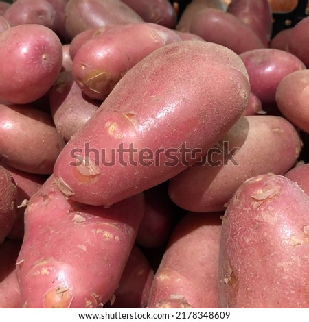 Macro photo red potatoes. Stock photo vegetable red potato background