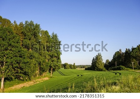 Scenic landscape of field at sumer. Green meadows. Blue sky.