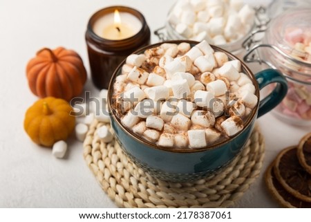 Cup of tasty cocoa drink and marshmallows in blue cup.Spices and marshmallows for winter drinks on white texture table.Winter hot drink.Hot chocolate with marshmallow and spices.Copy space.