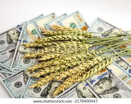 Currency and wheat grain . Export ban, embargo on wheat and flour supplies to Europe , Asia and Africa, famine and crisis Royalty-Free Stock Photo #2178400447