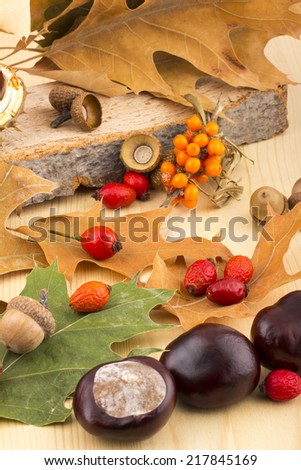 Colorful autumn picture with brown acorns,  chestnuts, rosehip, seabuckthorn, autumn leaves, on wooden background